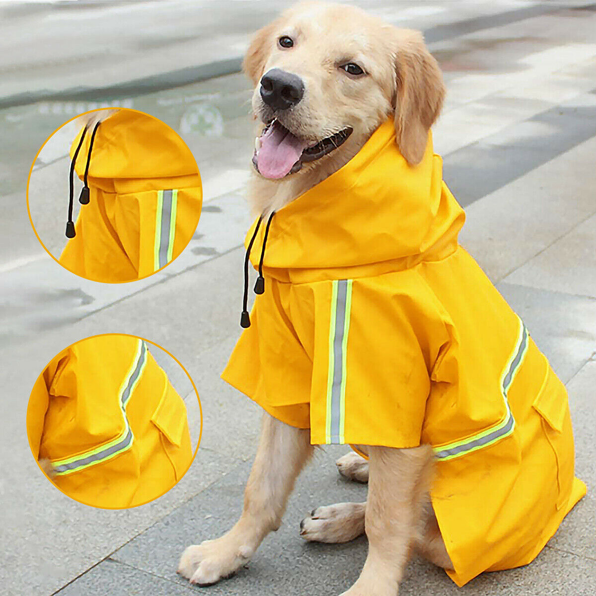 Dog in yellow waterproof raincoat