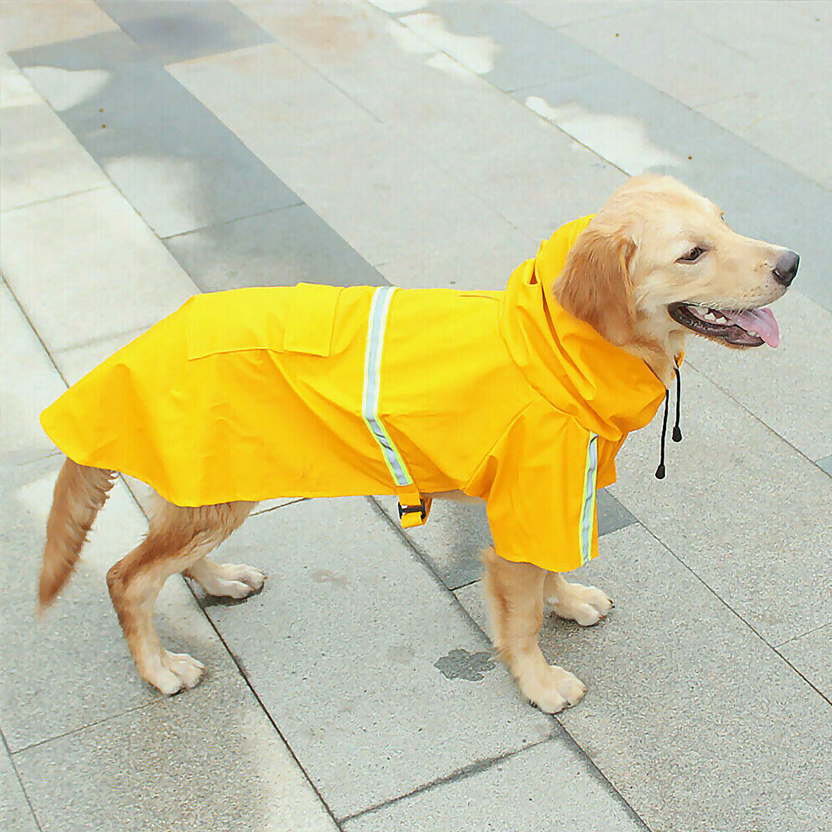 Raincoat photo 6
