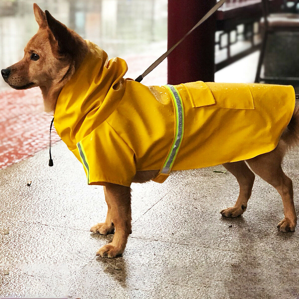 Raincoat photo 9